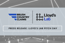 Lloyd labs