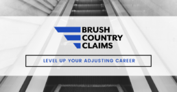 claims adjuster career